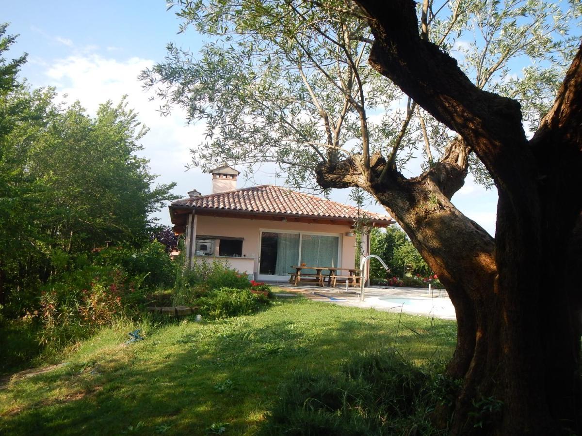 B&B Red Wine Country House Кастель-Сан-П'єтро-Терме Екстер'єр фото